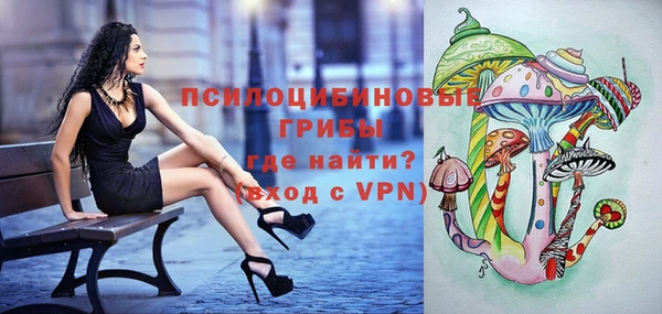 МДМА Медвежьегорск